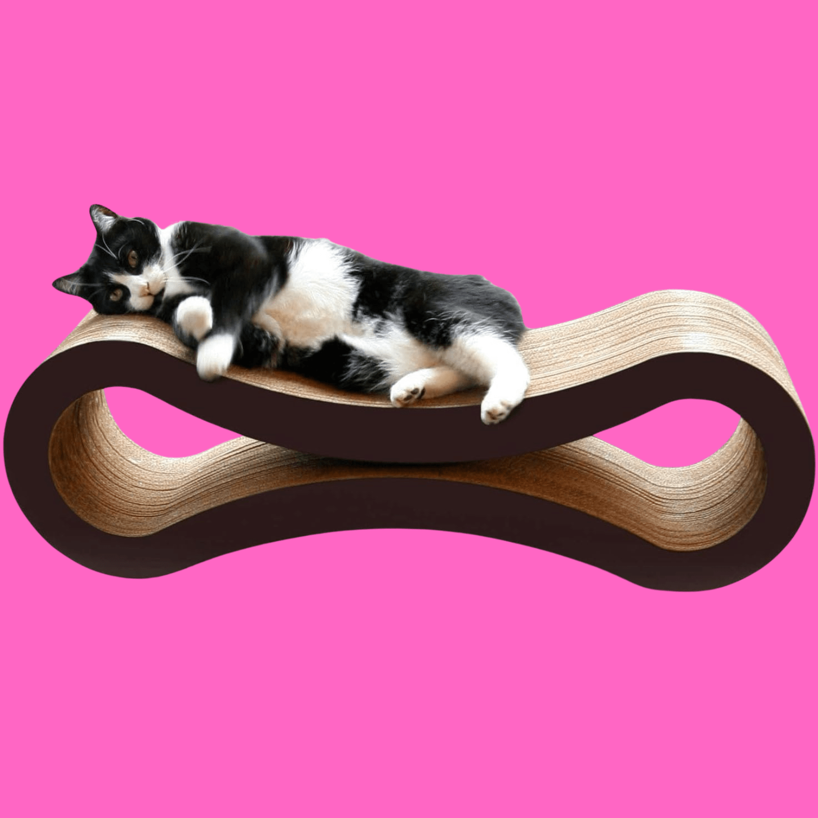 PetFusion Ultimate Cat Lounger - Cat Products 
