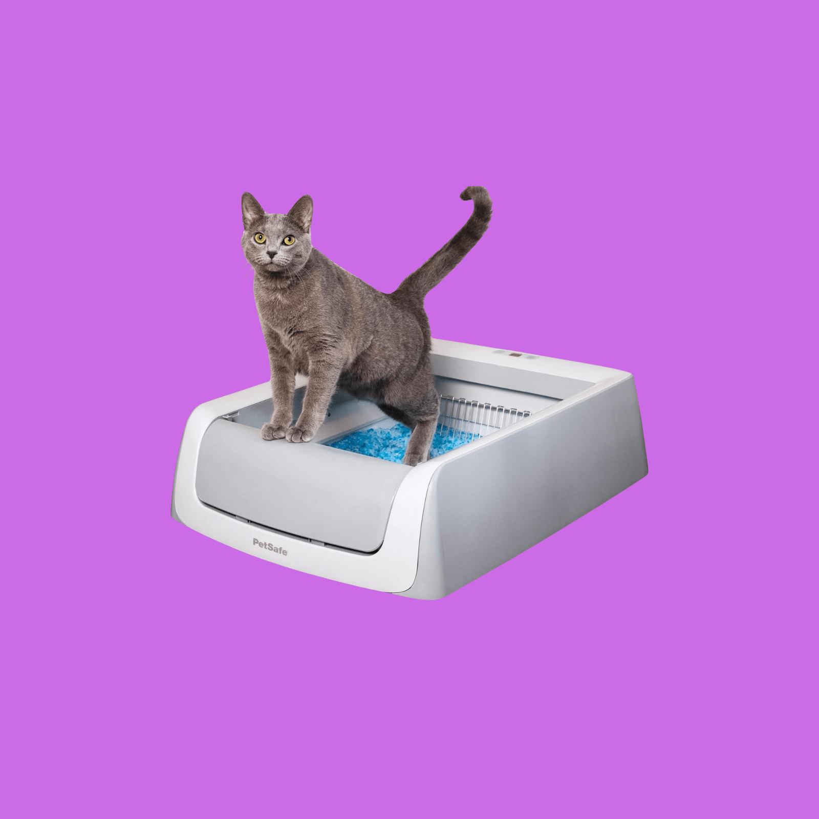 PetSafe ScoopFree Crystal Pro Self Cleaning Cat