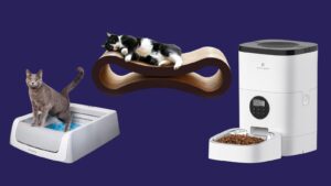 Top 15 Must-Have Cat Products